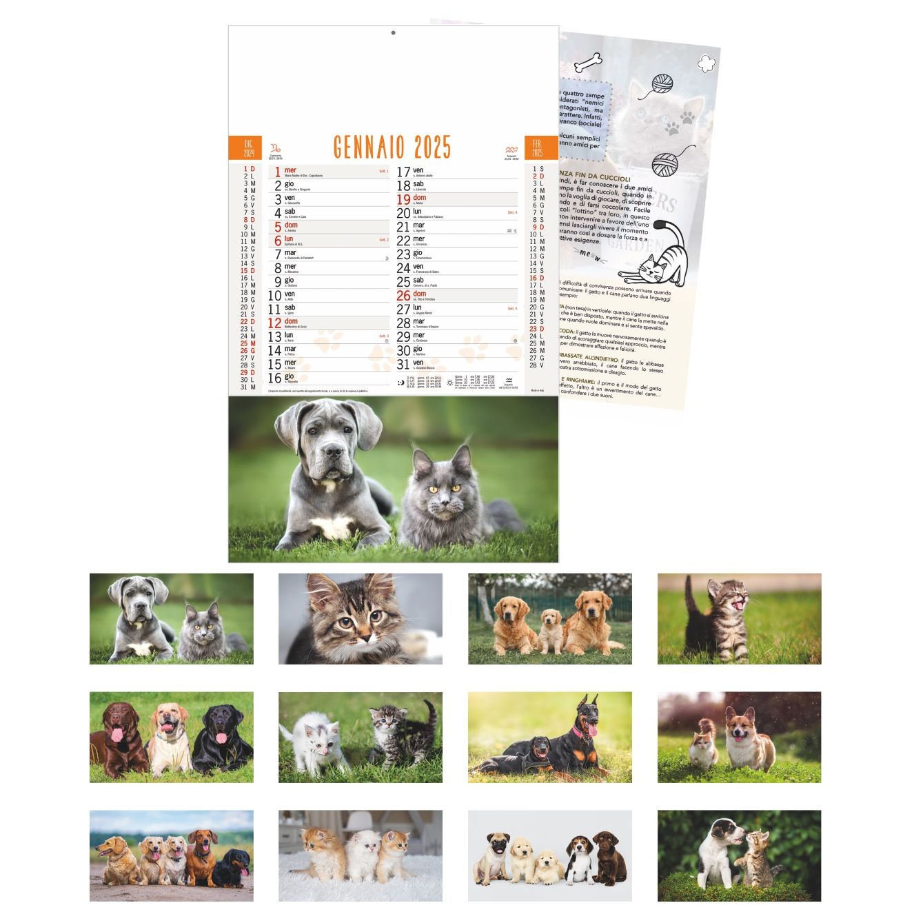 Calendario CANI E GATTI art. B77 - CONF. 100 PEZZI