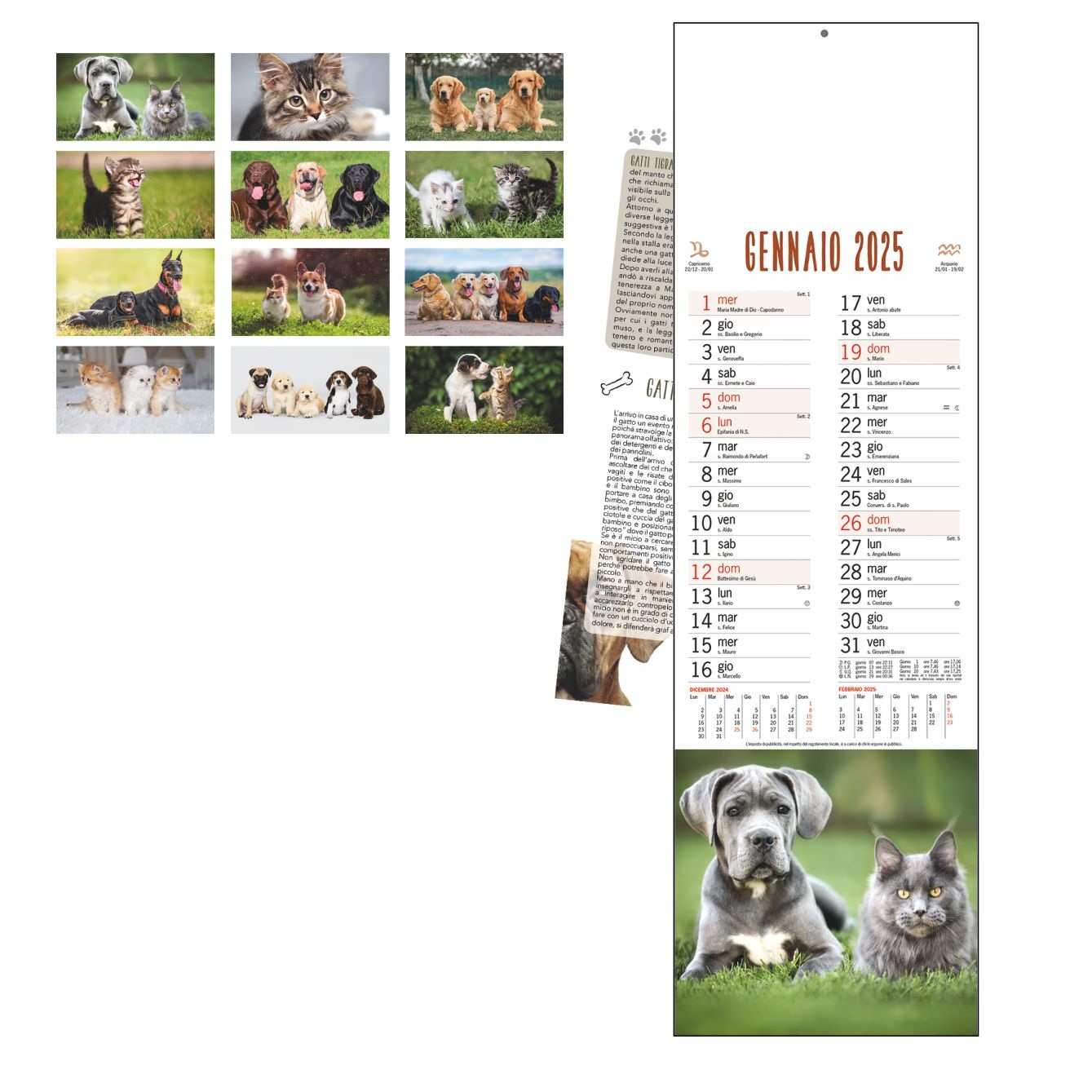 Calendario CANI E GATTI art. B71 - CONF. 100 PEZZI